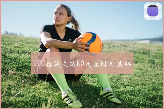 UFC精英之路KO高光时刻集锦