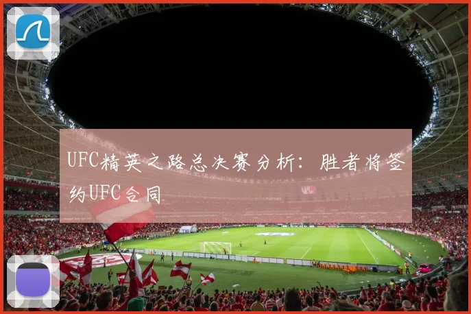 UFC精英之路总决赛分析：胜者将签约UFC合同
