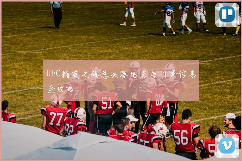 UFC精英之路总决赛地点与门票信息全攻略