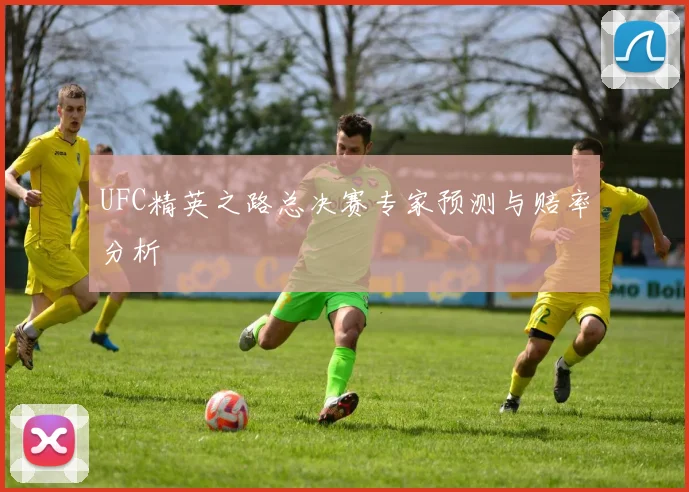 UFC精英之路总决赛专家预测与赔率分析