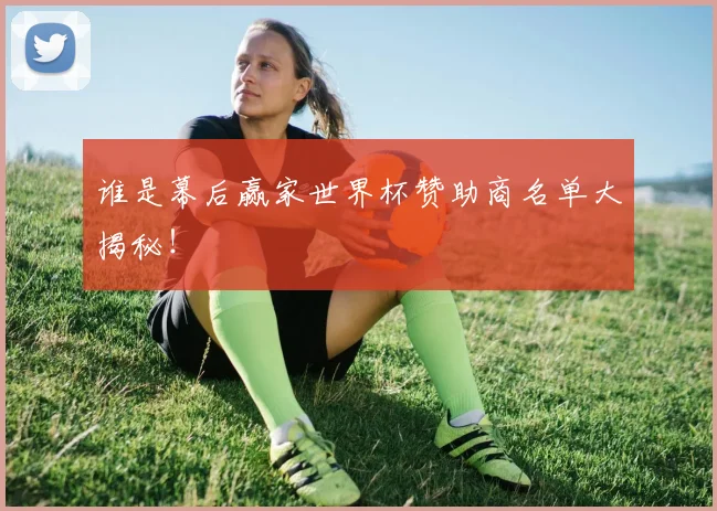 谁是幕后赢家世界杯赞助商名单大揭秘!