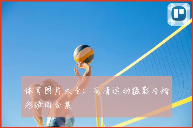 体育图片大全：高清运动摄影与精彩瞬间合集
