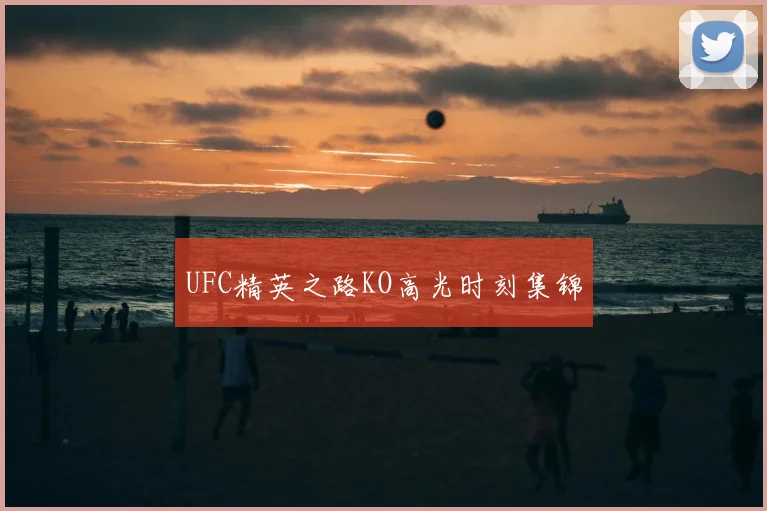 UFC精英之路KO高光时刻集锦